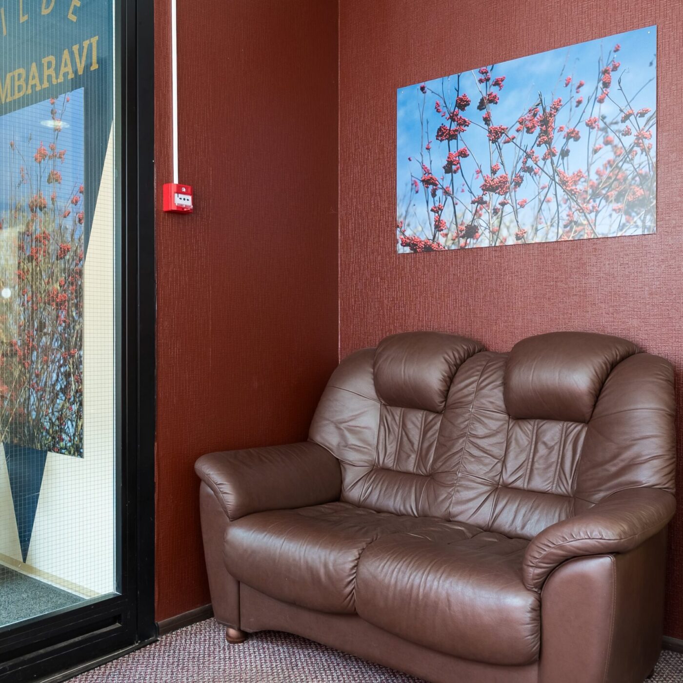 vilde_hambaravi-5-min vilde_hambaravi-5-min